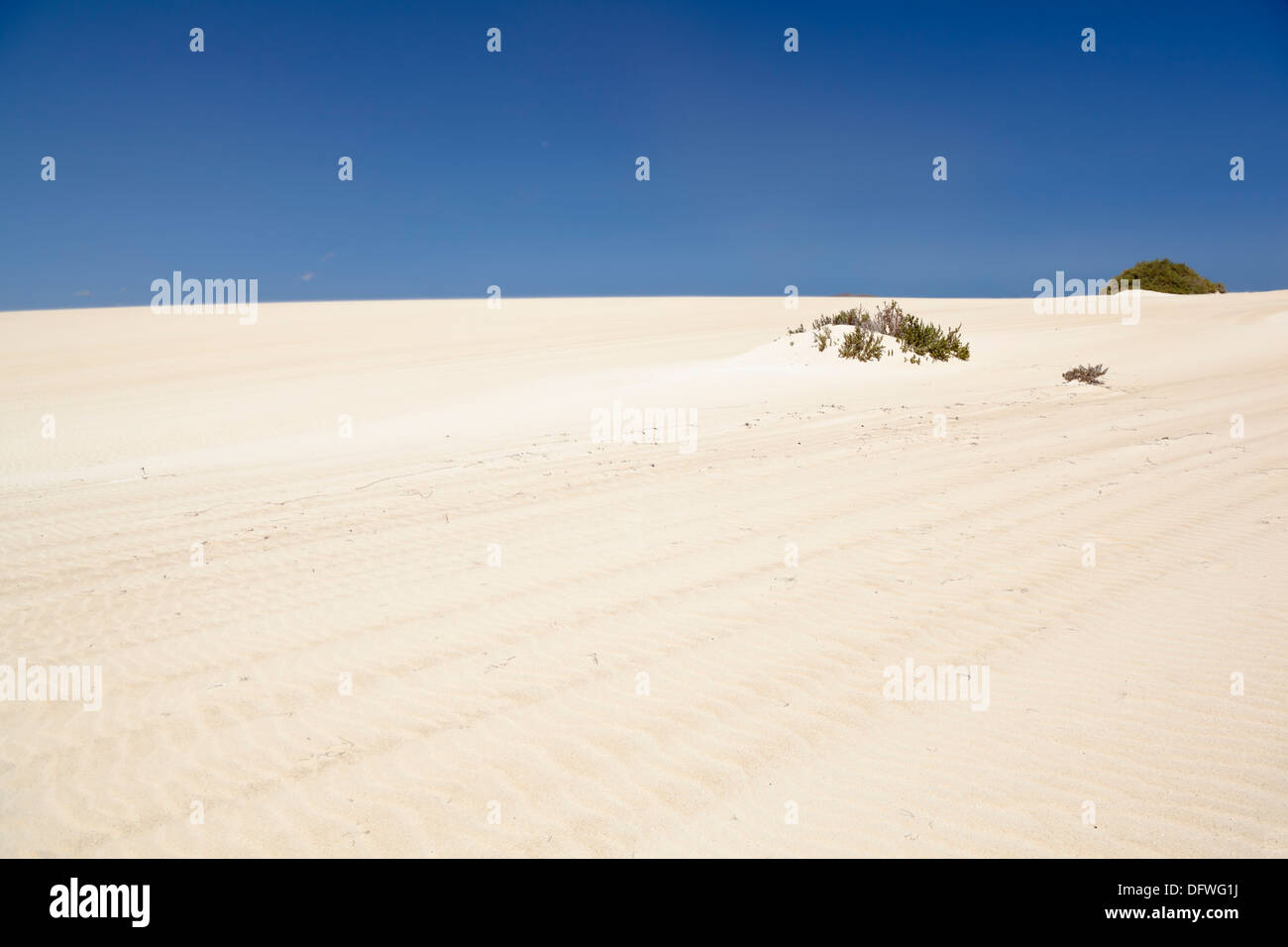 Dunas de Corralejo auf Fuerteventura, Wüste einige wie Sanddünen in der Nähe der Küste. Stockfoto