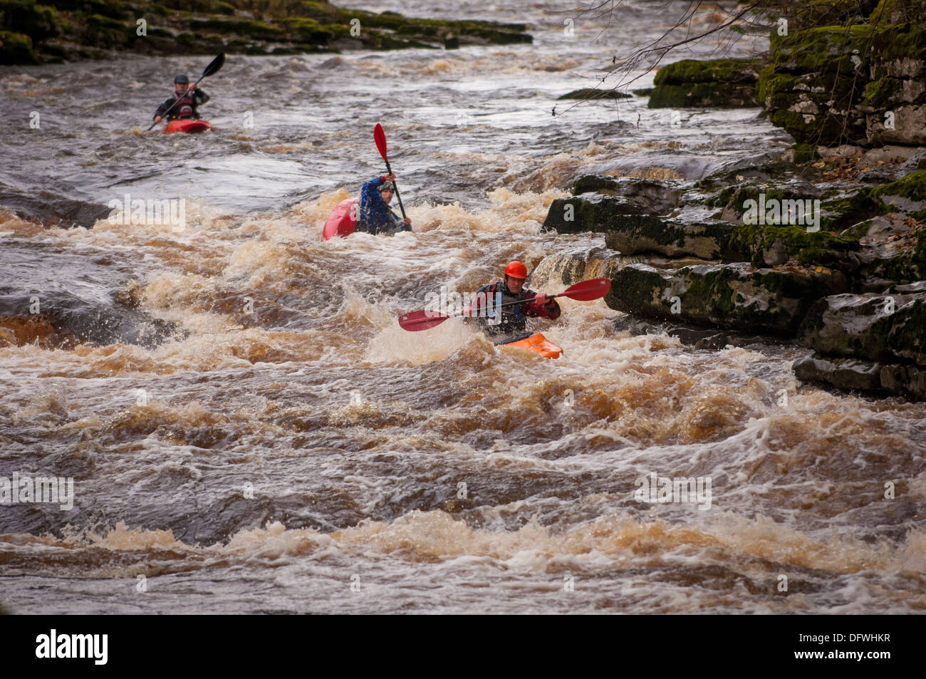 Wildwasser-Kajakfahrer auf River Tees, UK. Stockfoto