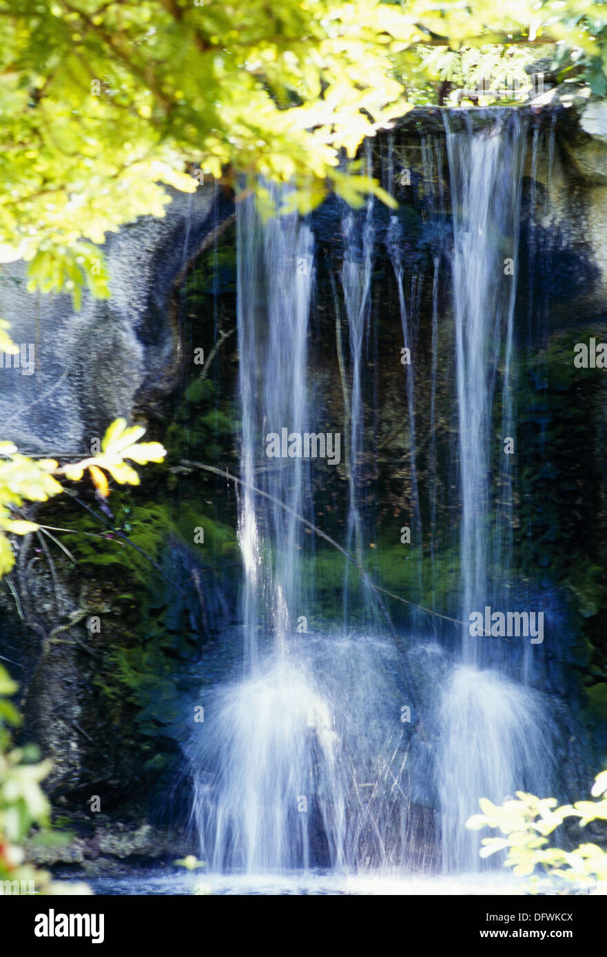 Wasserfall, Garten der Olivenhaine. Grand Bahama Island, Bahamas