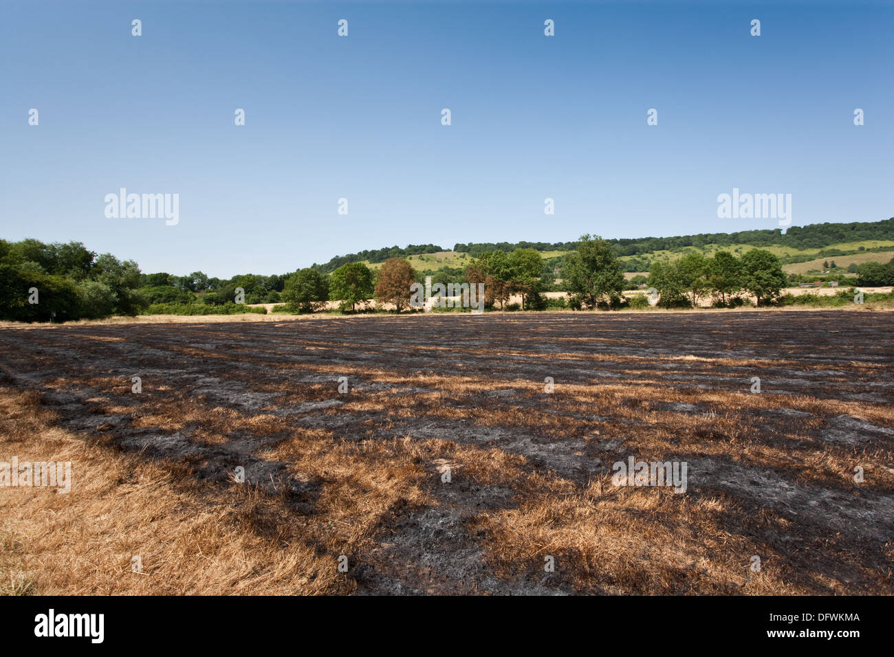 Ein Feld in Brand gesetzt durch Brandstifter in Pixham, in der Nähe von Dorking, Surrey Stockfoto