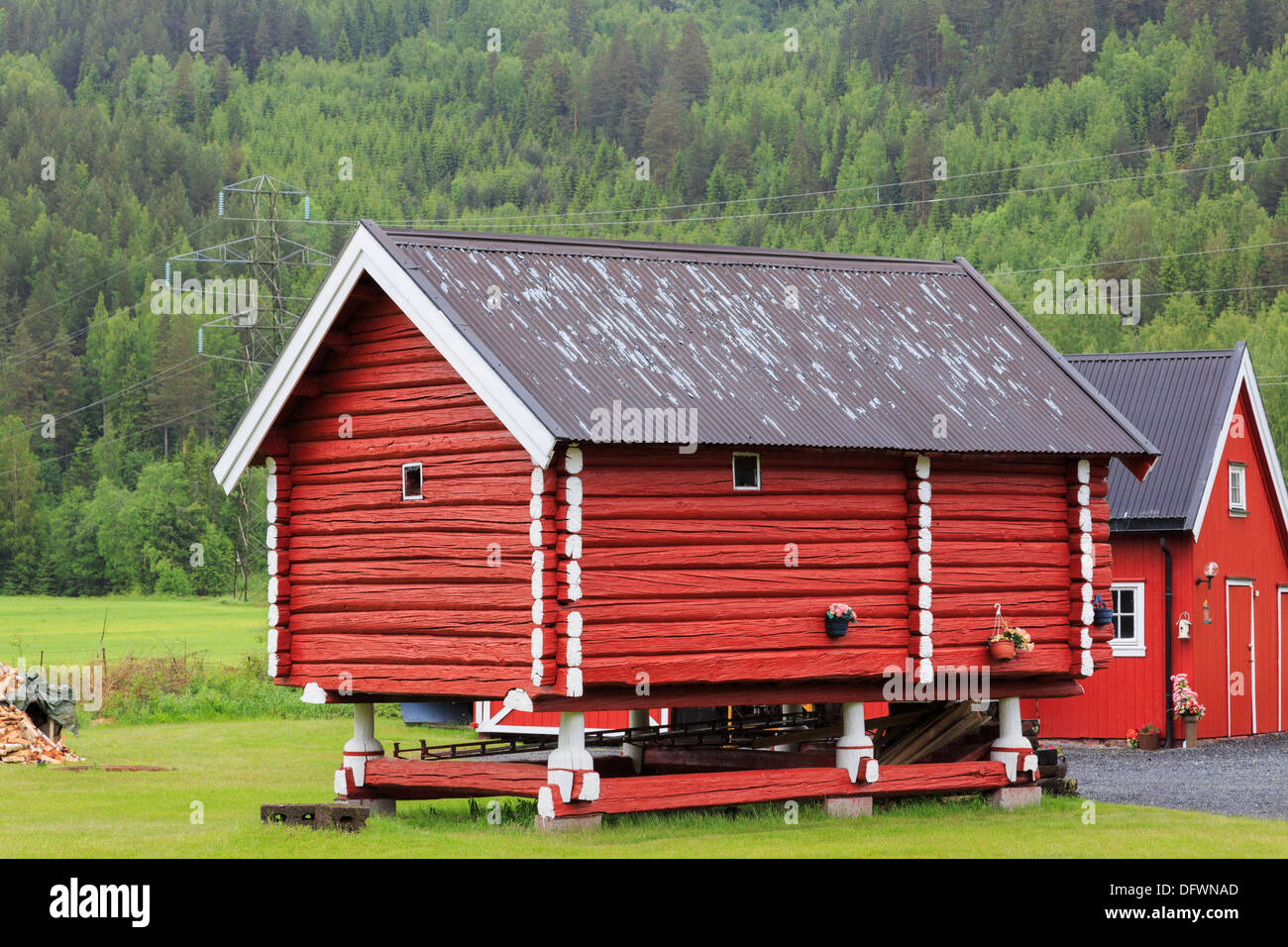Traditionelle rote hölzernes Korn zu lagern, auf Stelzen auf einem Bauernhof in Telemark-Norwegen-Skandinavien Stockfoto