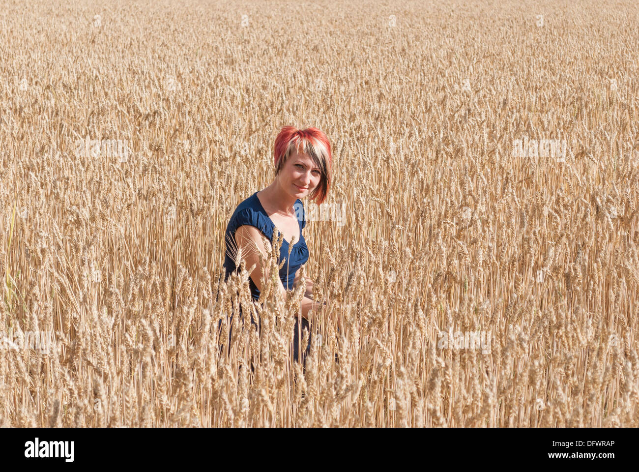 Mädchen in einem Feld von Weizen. Stockfoto