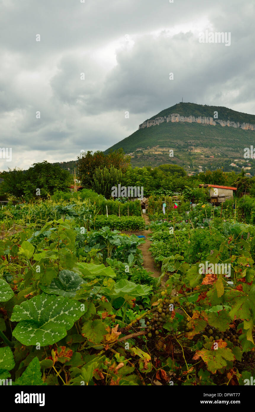 Blick auf den Causse Noir über eine Zuteilung in Millau, Aveyron, Midi-Pyrenäen, Frankreich Stockfoto