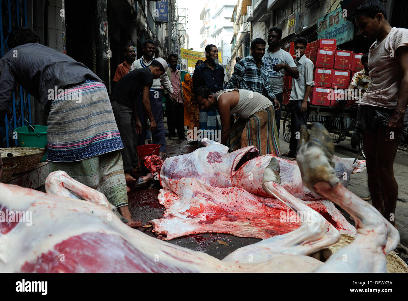 Bangladesch Dhaka, islamische Festival der Opfer Eid al-Adha, Muslime Schlachten Tiere unterwegs und verteilen das Fleisch Stockfoto