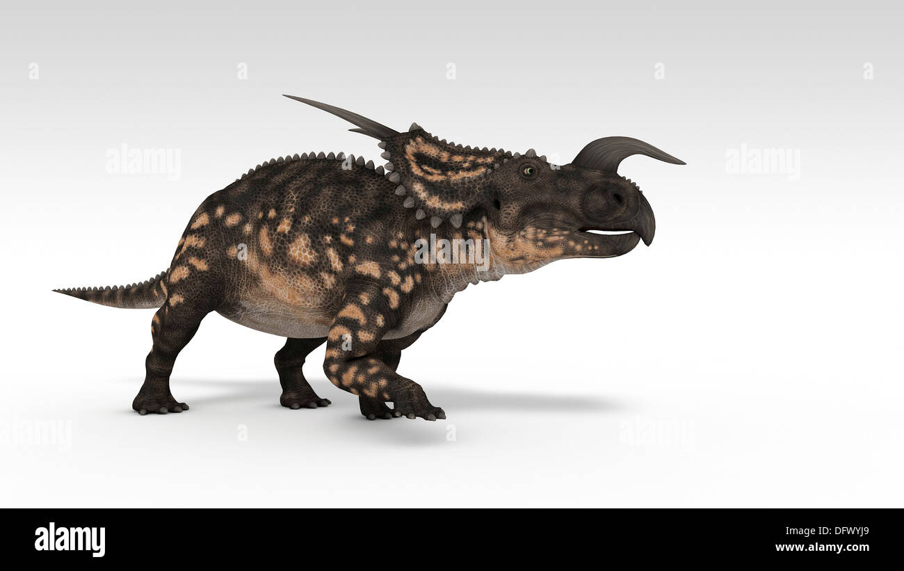 Einiosaurus Dinosaurier, weißen Hintergrund. Stockfoto