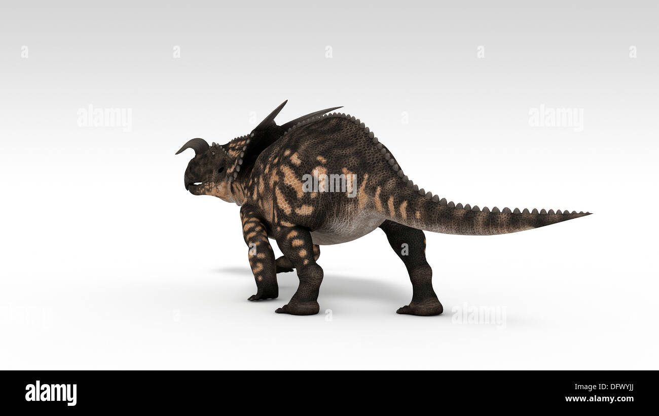 Einiosaurus Dinosaurier, weißen Hintergrund. Stockfoto