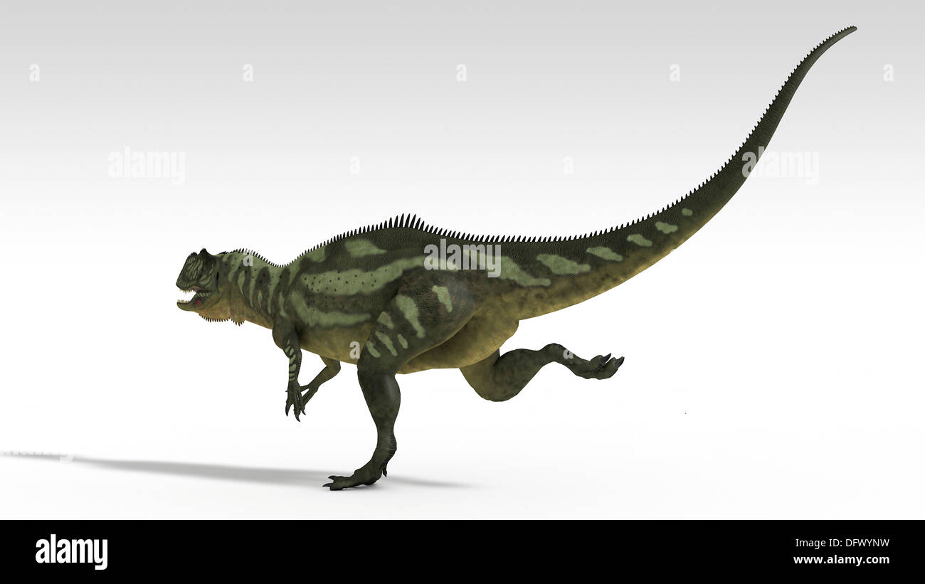 Shangiouensis Fotos und Bildmaterial in hoher Auflösung Alamy