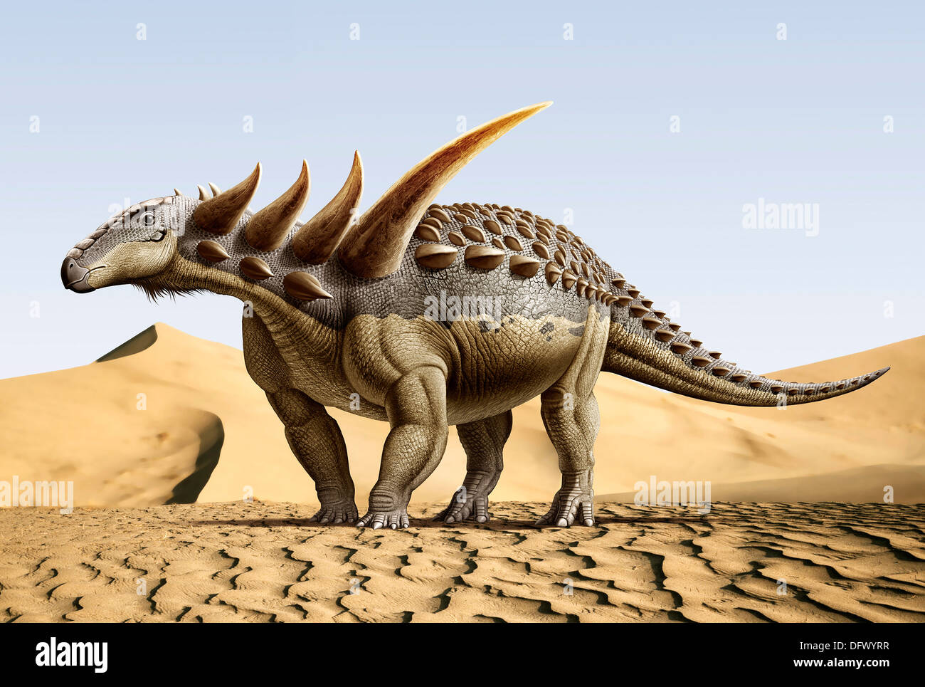 Sauropelta, ein Nodosaurid Dinosaurier, die in der frühen Kreidezeit existierten. Stockfoto