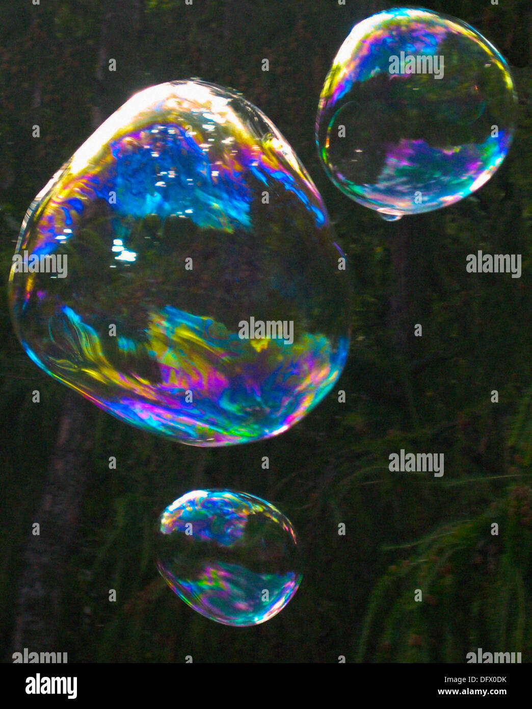 Bunte schwebende Bubbles Stockfoto