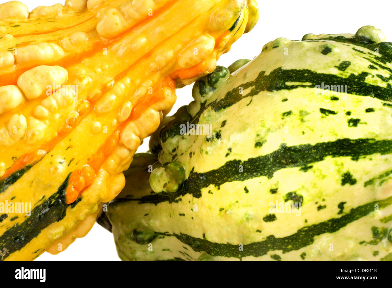 Nahaufnahme von Herbst Squash oder Kalebassen Stockfoto