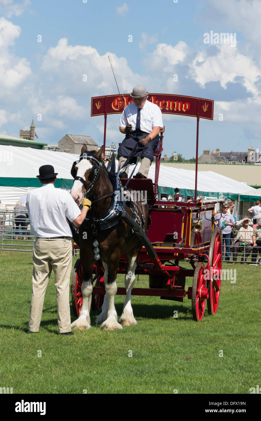 Grenze Union Show, Kelso, Schottland, jährliche Veranstaltung Juli - Dray Pferde, schweres Pferd, Shire-Pferde Stockfoto