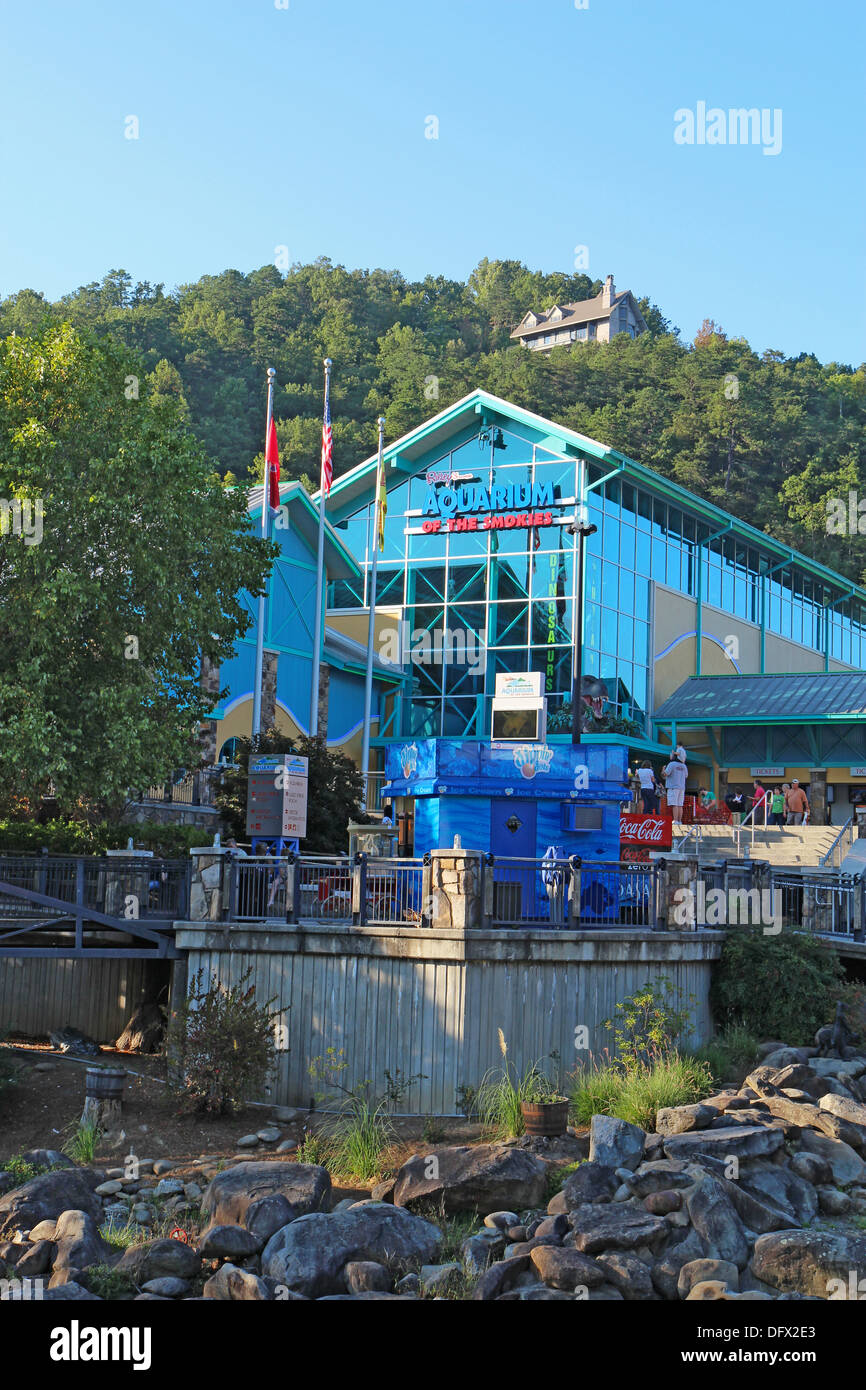 Ripleys Aquarium die Smokies in der Innenstadt von Gatlinburg, Tennessee vertikale Stockfoto