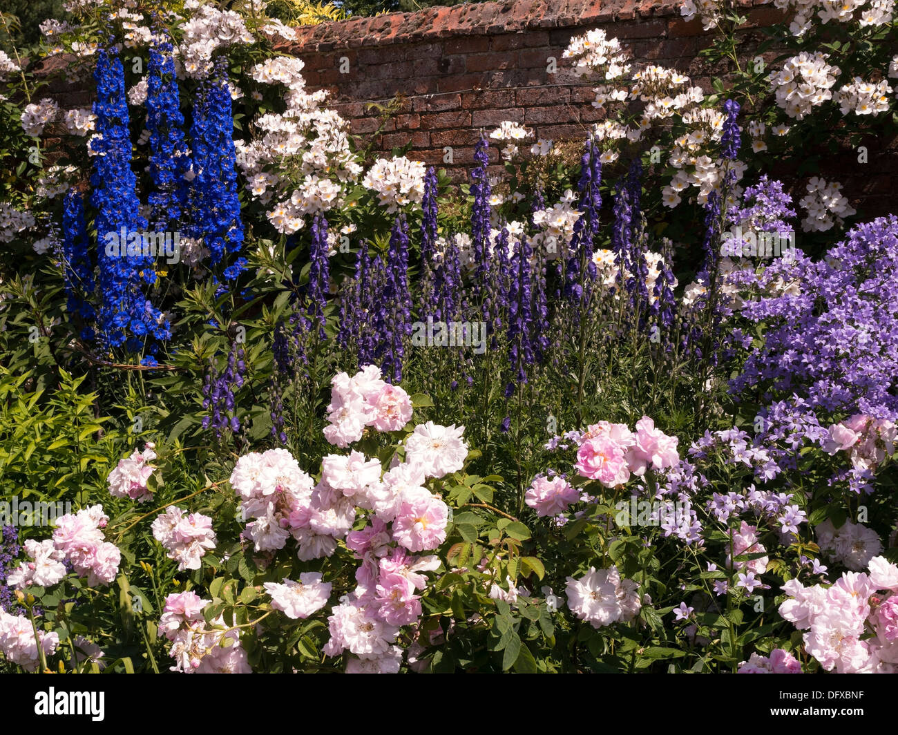 Ummauerten Cottage Garten Blume Bett Grenze, Ticknall Derbyshire UK Stockfoto