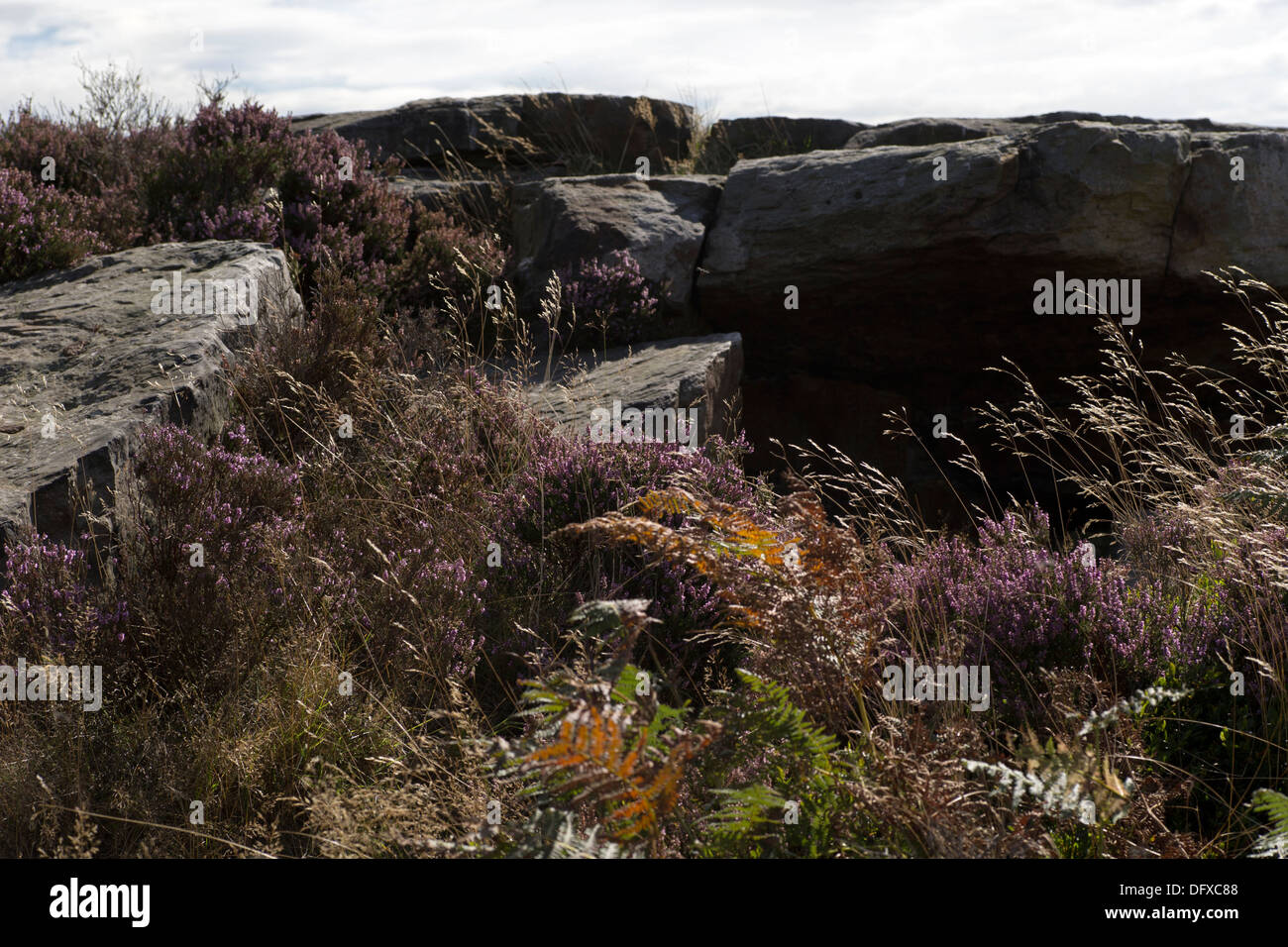 Zerklüftete Landschaft, North Yorkshire Moors National Park, England Stockfoto