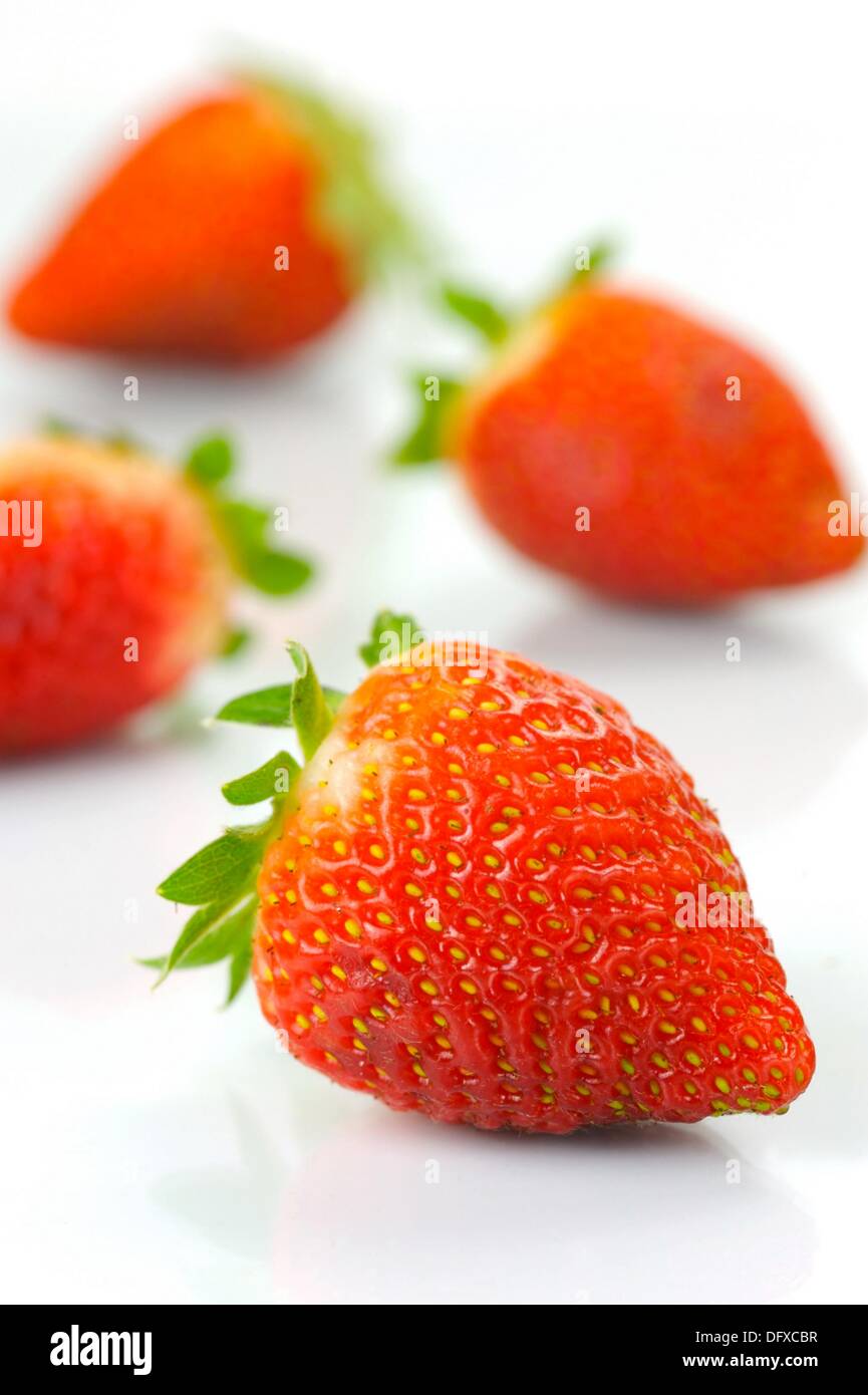 Frische Erdbeeren auf einem weißen Hintergrund isoliert Stockfotografie ...