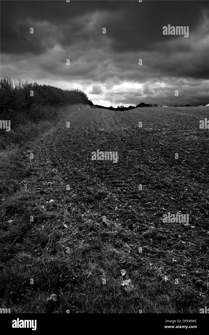 Frisch eggte Feld in einer Chilterns stimmungsvolle Landschaft Bucks UK Stockfoto