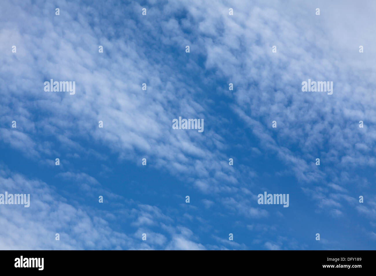 Feder Wolken Closeup blau verträumt Stockfoto