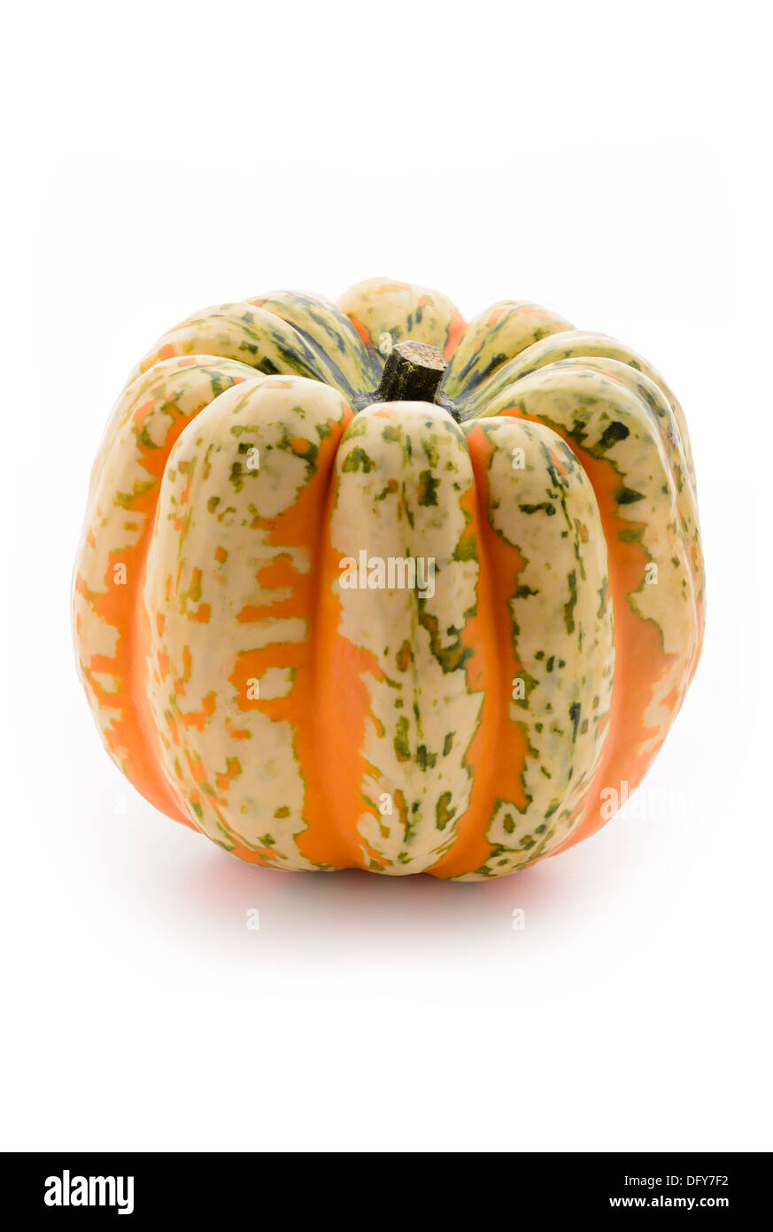 Obst und Gemüse: einzelne dekorative Kürbis, isoliert auf weißem Hintergrund Stockfoto