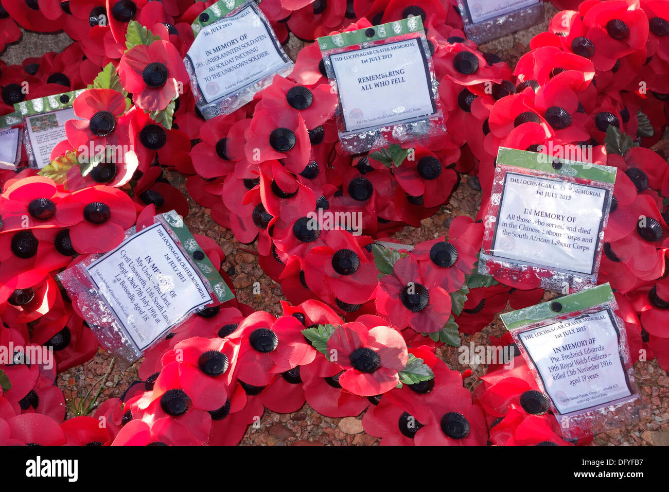 Britischen Roten Mohn Kränze im ersten Weltkrieg ein Denkmal in WWI Schlachtfeld der Schlacht an der Somme, Picardie, Frankreich Stockfoto