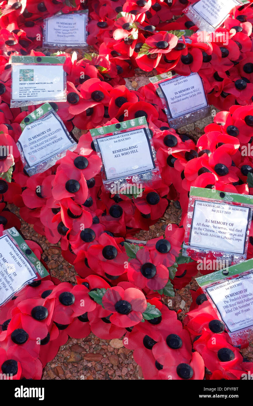 Britischen Roten Mohn Kränze im ersten Weltkrieg ein Denkmal am WW1 Schlachtfeld der Schlacht an der Somme, Picardie, Frankreich Stockfoto