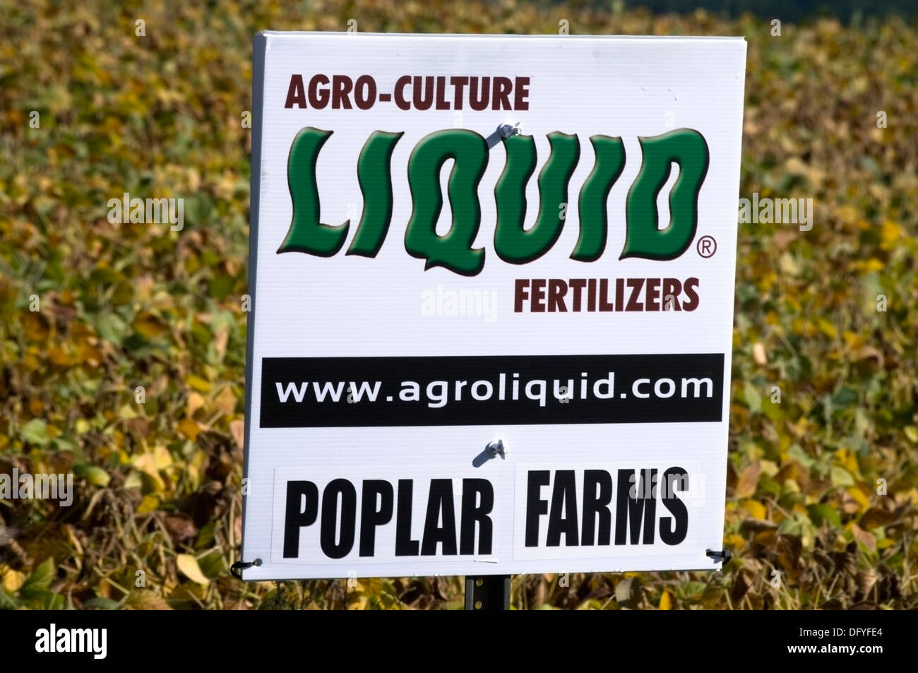 Schild Werbung Agro-Kultur Flüssigdünger auf einem Sojabohnenfeld verwendet Stockfoto