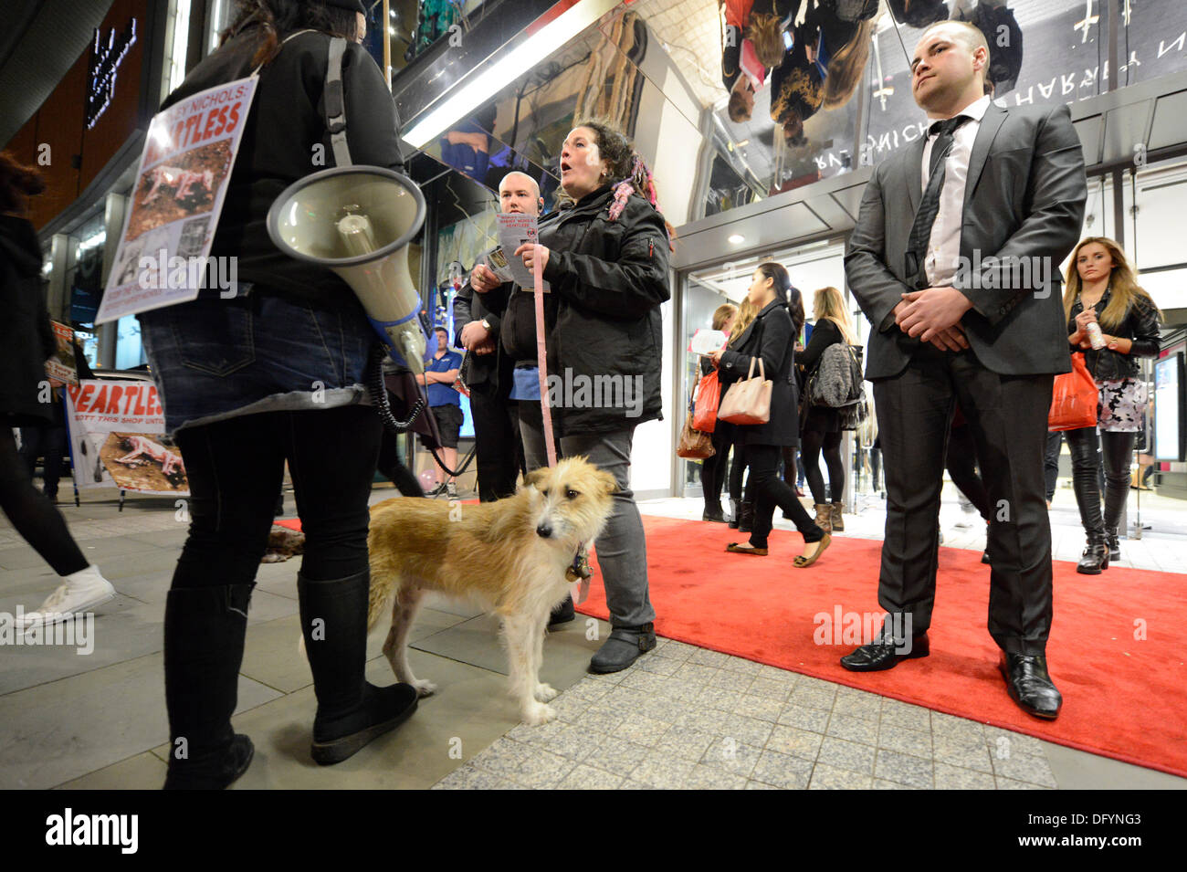 Manchester, UK. 10. Oktober 2013. Aktivisten aus Protest Gruppe CAFT (The Coalition, den Pelzhandel abzuschaffen) verteilen Literatur außerhalb der Harvey Nichols Store in Manchester in der Nacht vom Vogue Fashion Night Out in der Innenstadt. Harvey Nichols ist eines der Geschäfte, die die Gruppe behaupten noch Kleidungsstücke aus echtem Pelz verkaufen. Bildnachweis: Russell Hart/Alamy Live-Nachrichten. Stockfoto