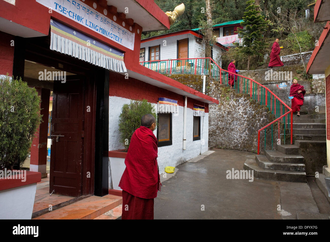Mönche in Dip Tse Chok Ling Monastery.McLeod Ganj, Dharamsala Himachal Pradesh Zustand, Indien, Asien Stockfoto