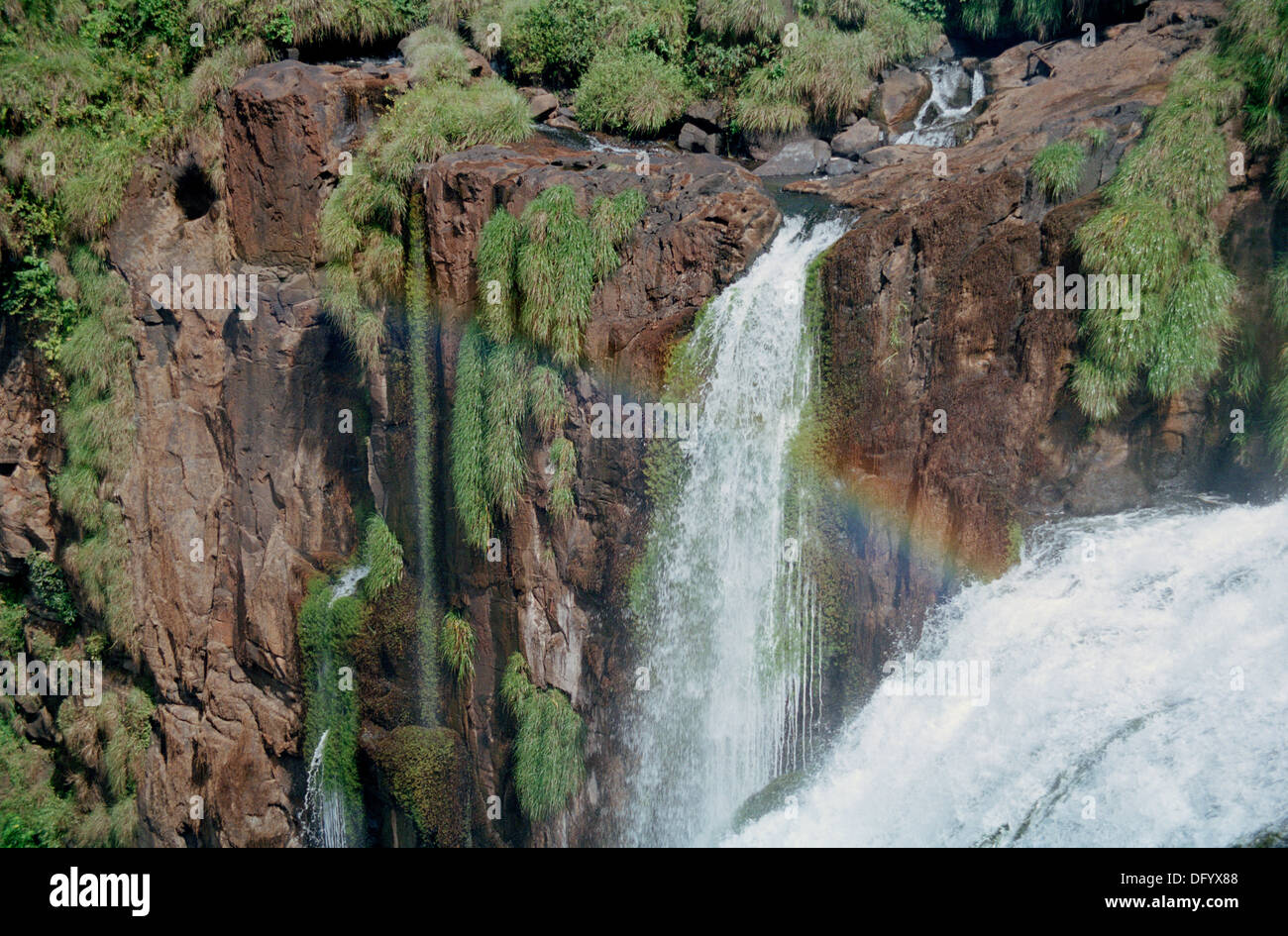 Wasserfall und Regenbogen im subtropischen Regenwald im Iguazu Nationalpark, Argentinien, Südamerika Stockfoto