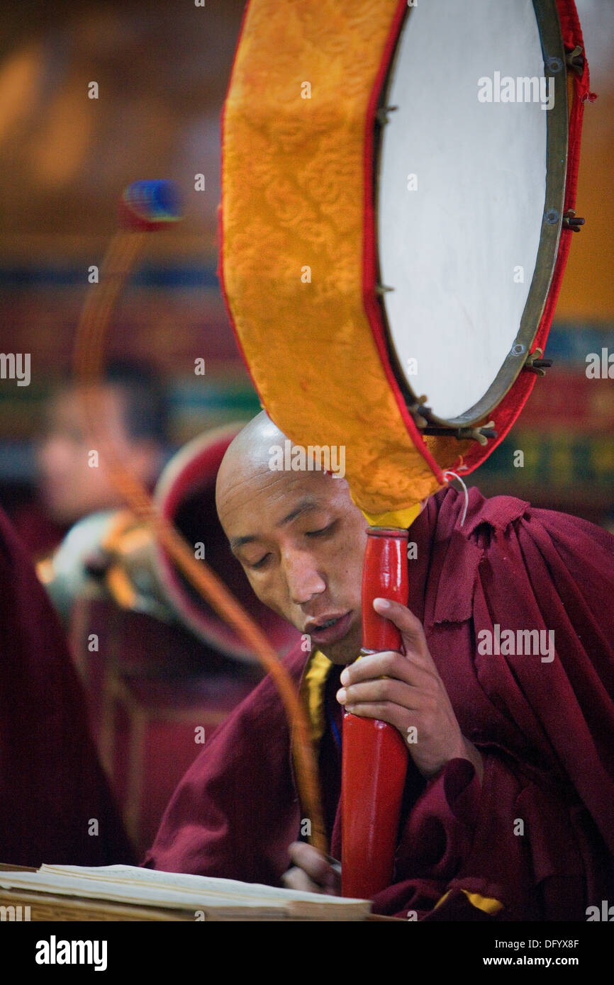 Puja, Mönche beten, in Dip Tse Chok Ling Monastery.McLeod Ganj, Dharamsala Himachal Pradesh Zustand, Indien, Asien Stockfoto