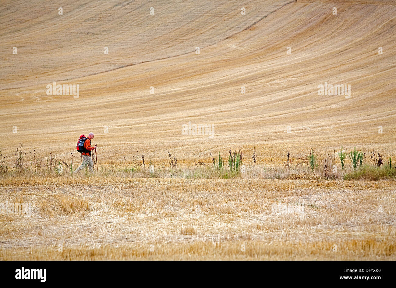 Pilger in der Nähe von Redecilla del Camino. Provinz Burgos. Spanien. Camino de Santiago Stockfoto