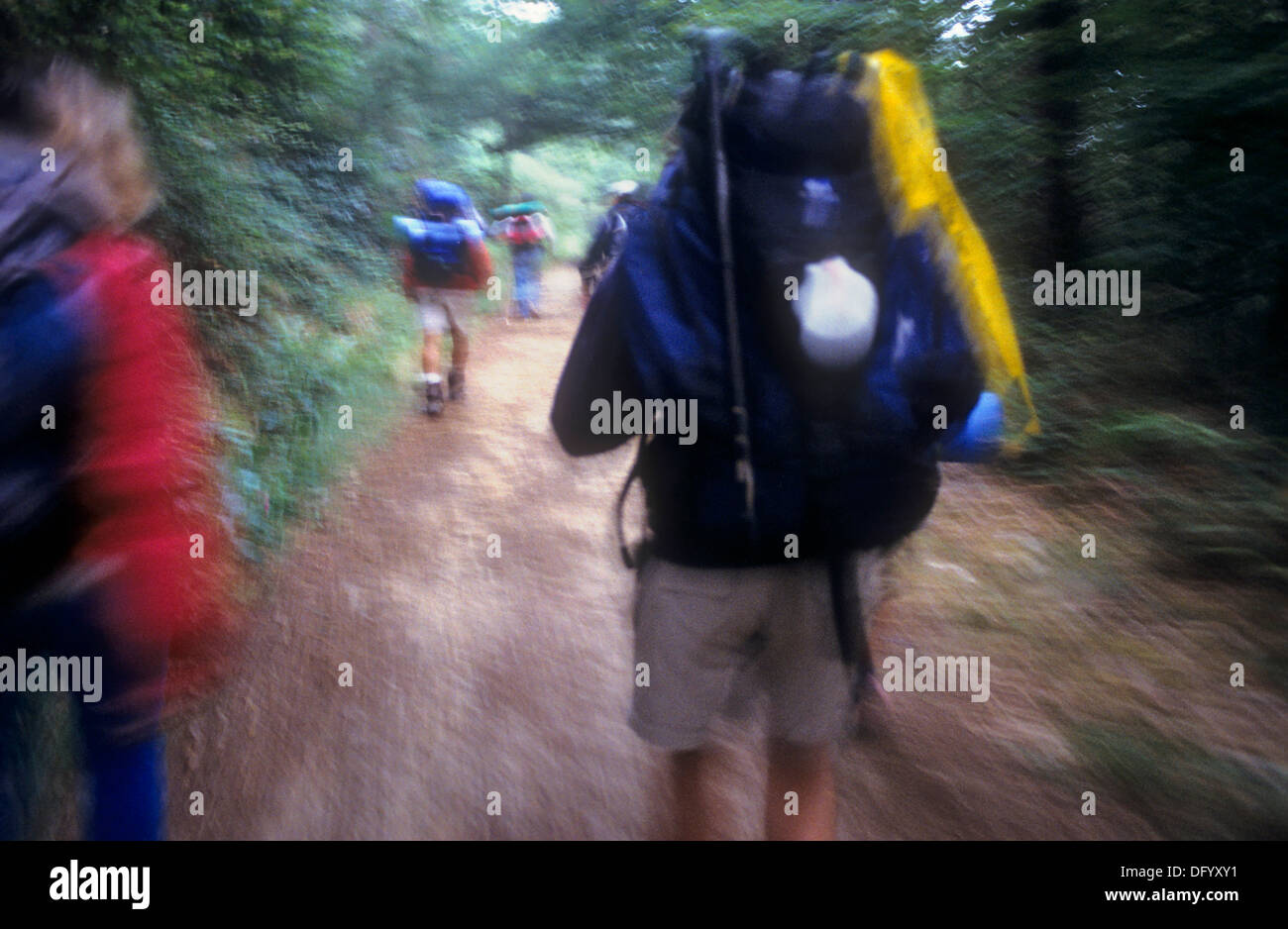 Pilgern zwischen Portomarín und Gonzar. Provinz Lugo. Spanien. Camino de Santiago Stockfoto