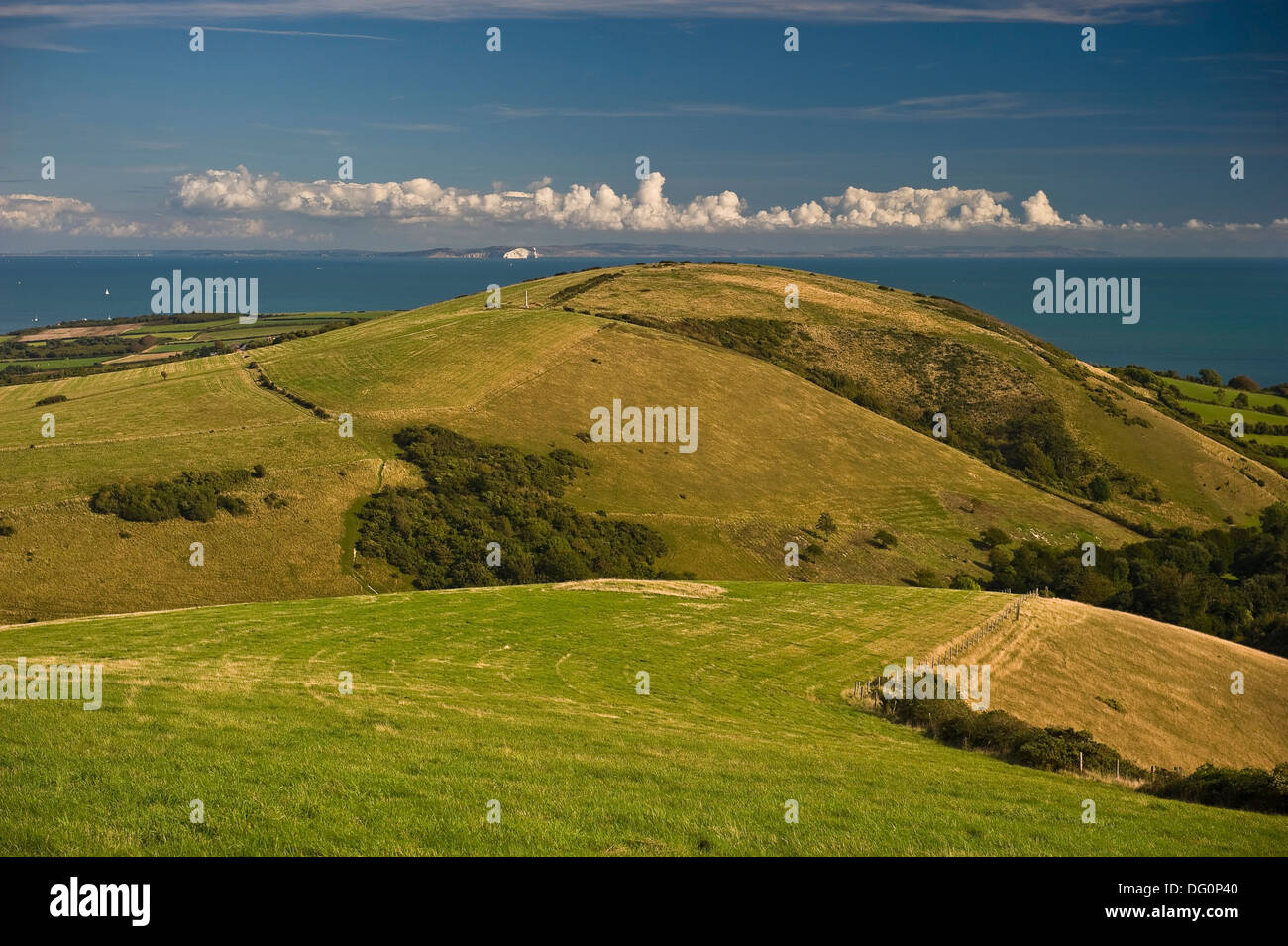 Godlingston Hill, Round Down und Ballard Down in der Nähe von Swanage, der Isle of Purbeck, Dorset, Großbritannien Stockfoto