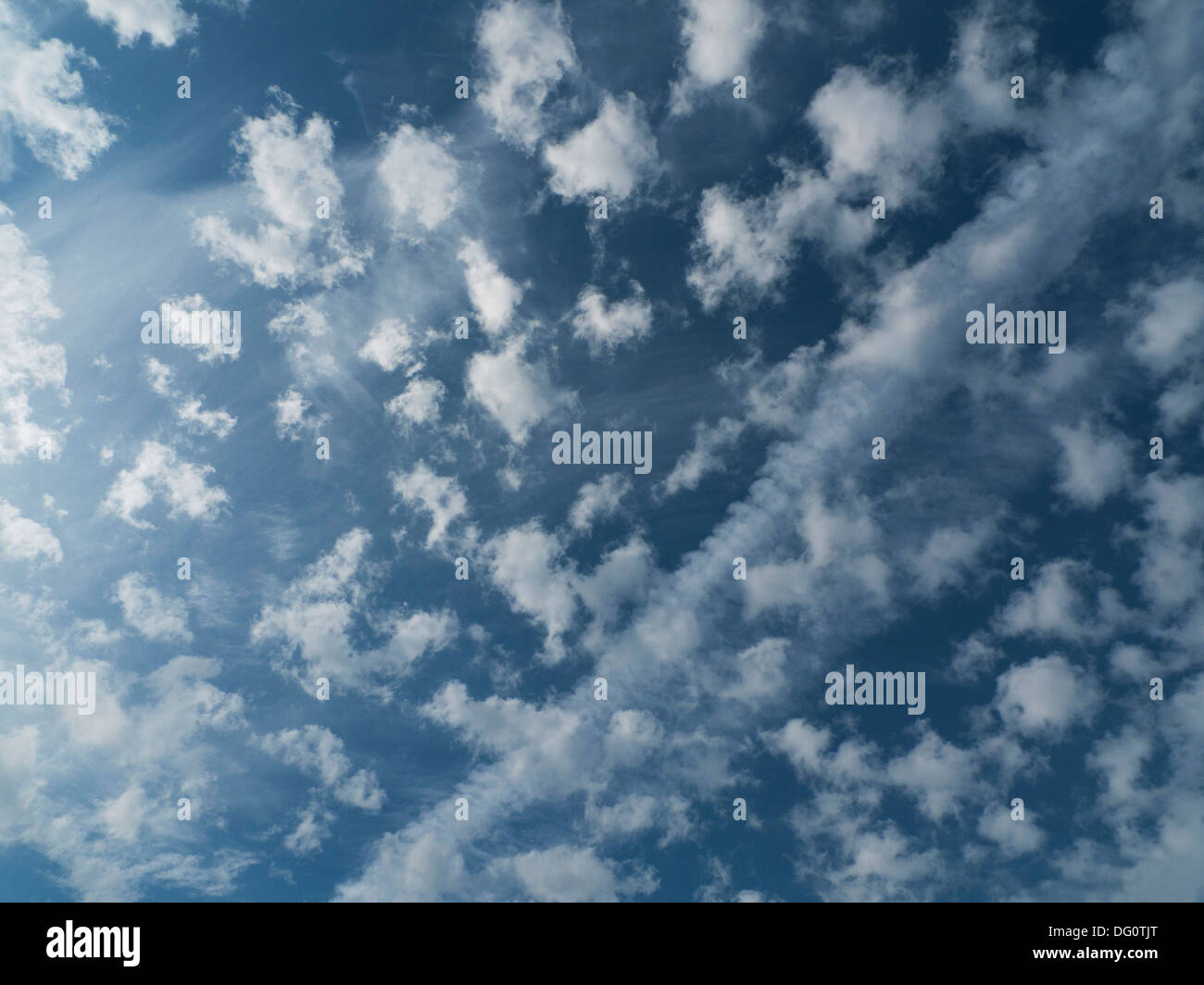 Geschwollene weißen altocumulous Wolken in einem blauen Himmel Wales UK KATHY DEWITT Stockfoto