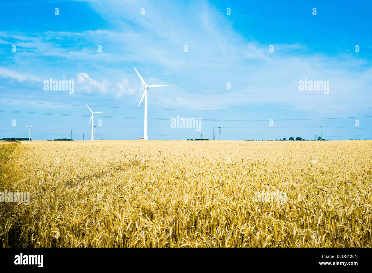 Bereich der Getreide und Wind turbine Stockfoto