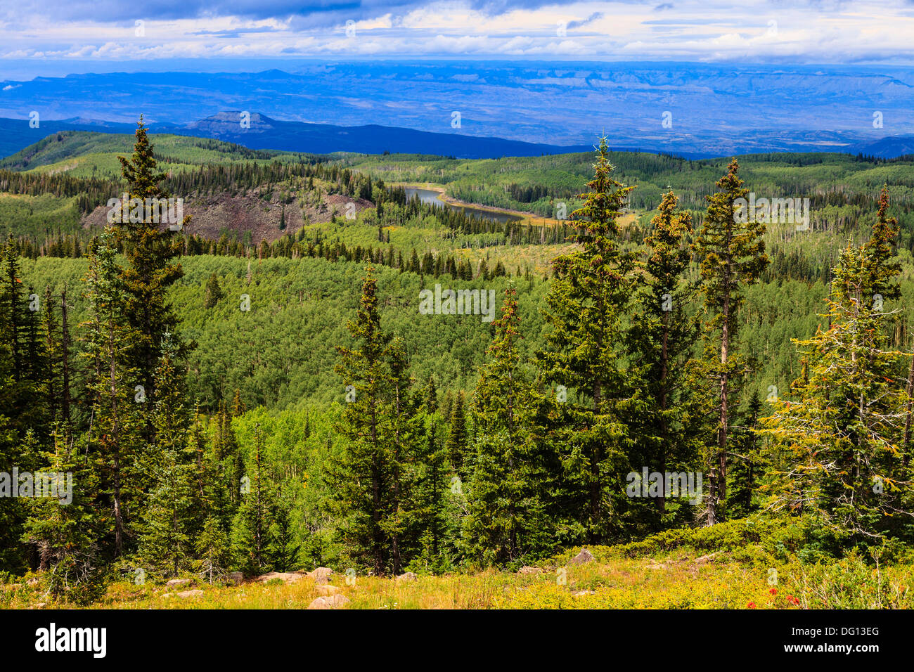 Blick vom Grand Mesa-Nationalpark, Colorado, USA Stockfoto