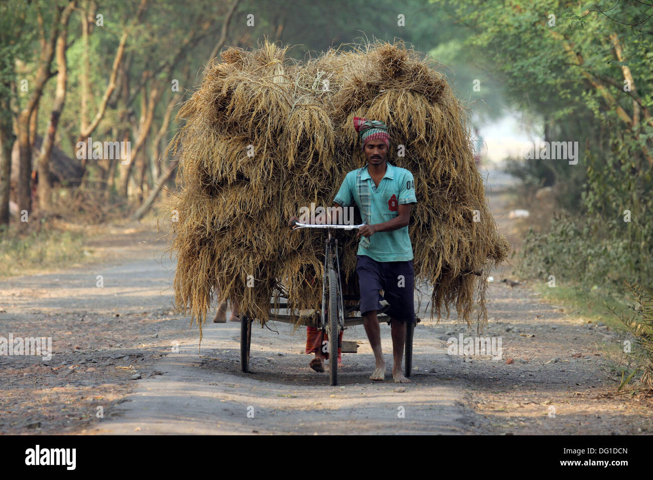 Ein nicht identifizierte Rikscha-Fahrer transportiert Reis aus der Farm nach Hause am 1. Dezember 2012 in Baidyapur, West Bengal, Indien Stockfoto