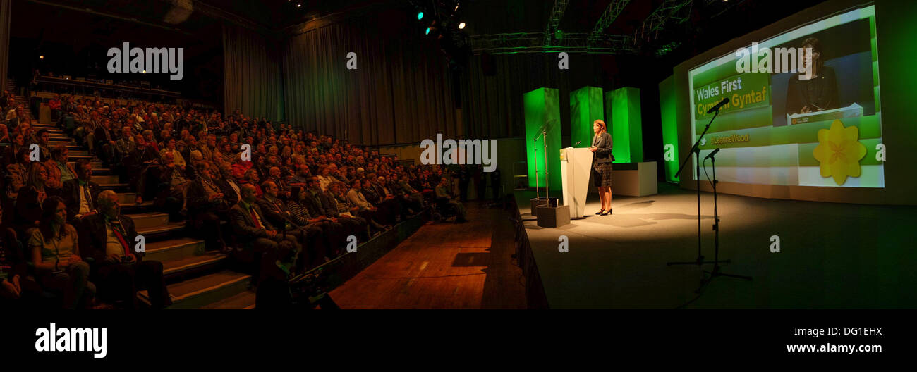 Aberystwyth Wales UK, 11. Oktober 2013 Plaid Cymru Führer LEANNE WOOD auf der Jahrestagung der Partei Aberystwyth UK Credit spreche,: Keith Morris/Alamy Live-Nachrichten Stockfoto