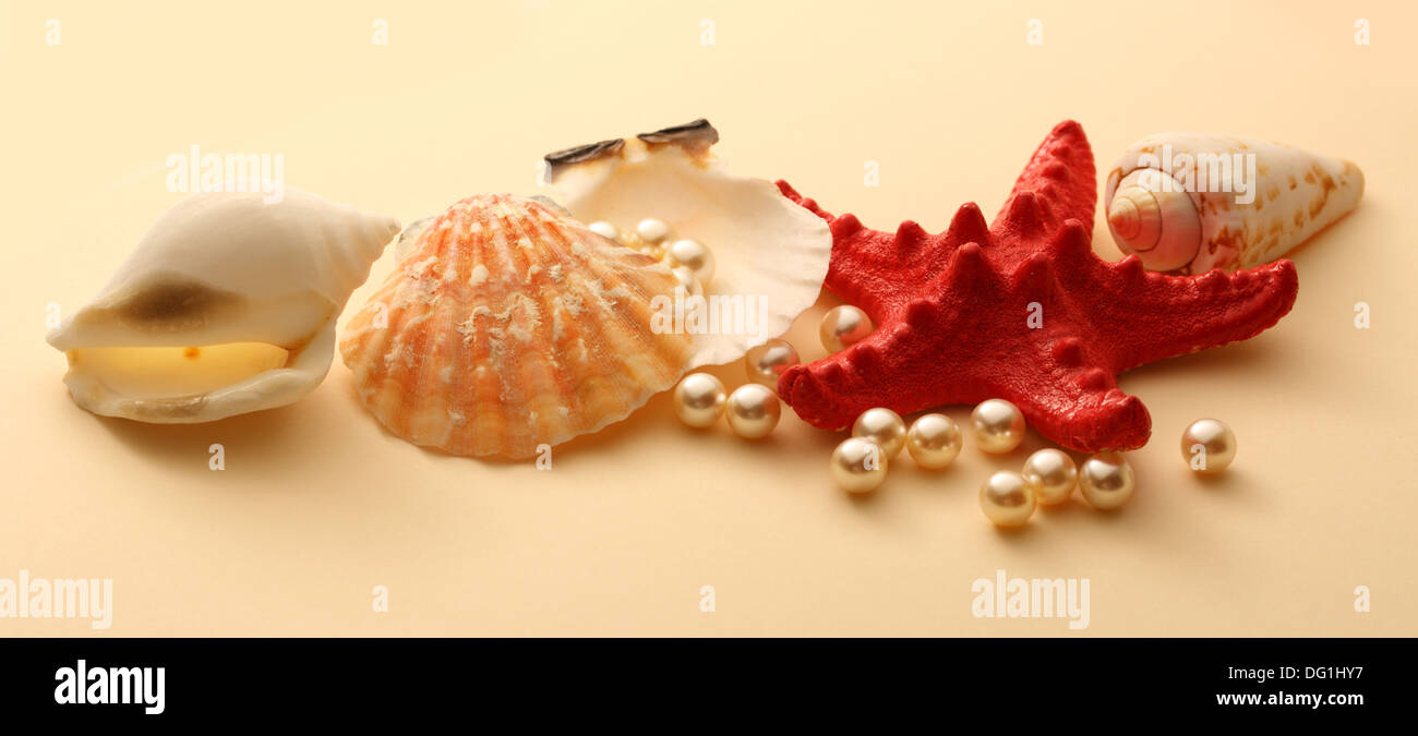 Weiße Perlen in der Muschel und Seastar Streuung Stockfoto