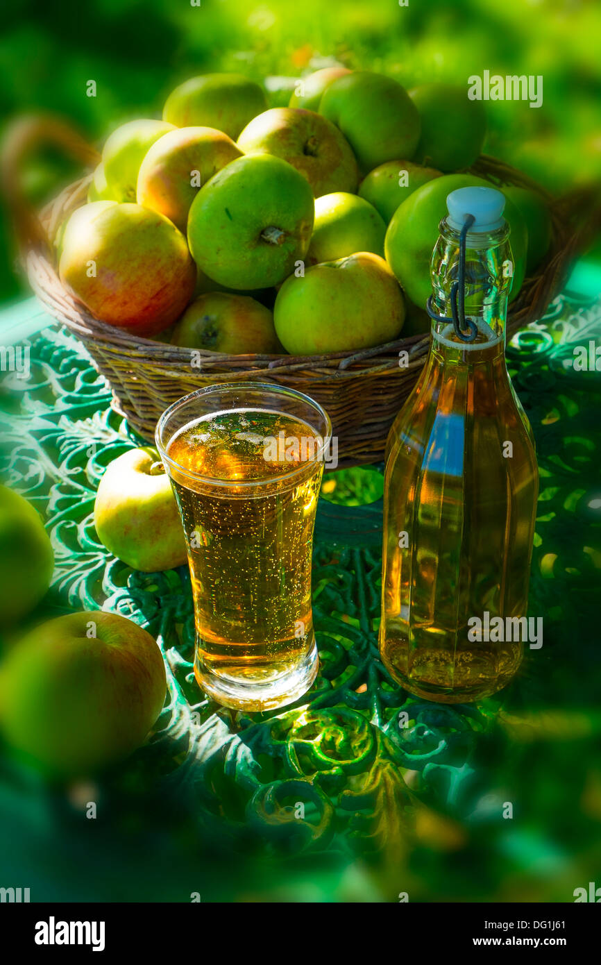 Garten Stillleben mit Glas Apfelwein, eine Flasche Apfelsaft und Apfelwein machen Äpfel. Stockfoto