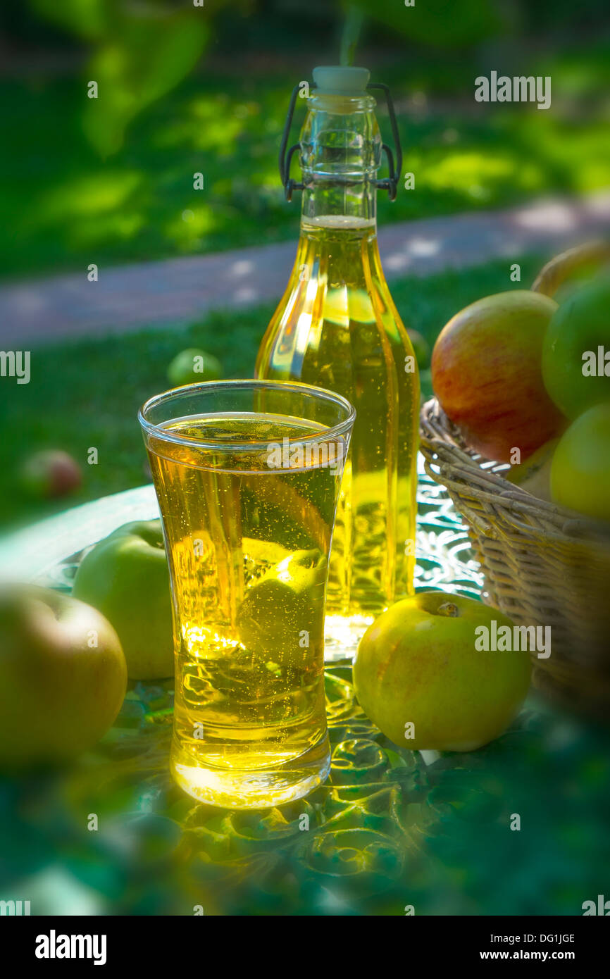 Garten Stillleben mit Glas Apfelwein, eine Flasche Apfelsaft und Apfelwein machen Äpfel. Stockfoto