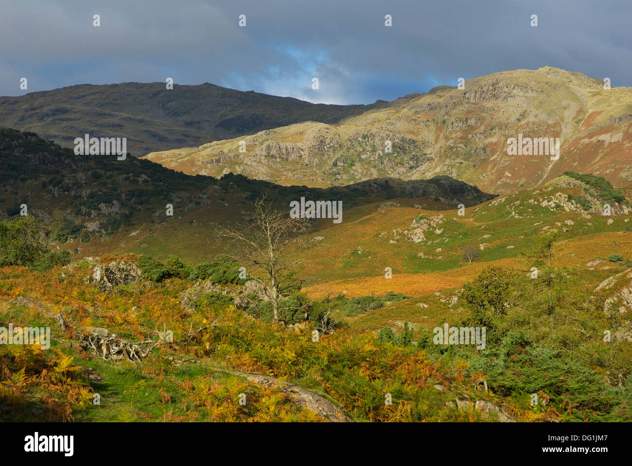 Easedale und Gibson Knott, in der Nähe von Grasmere, Nationalpark Lake District, Cumbria, England UK Stockfoto