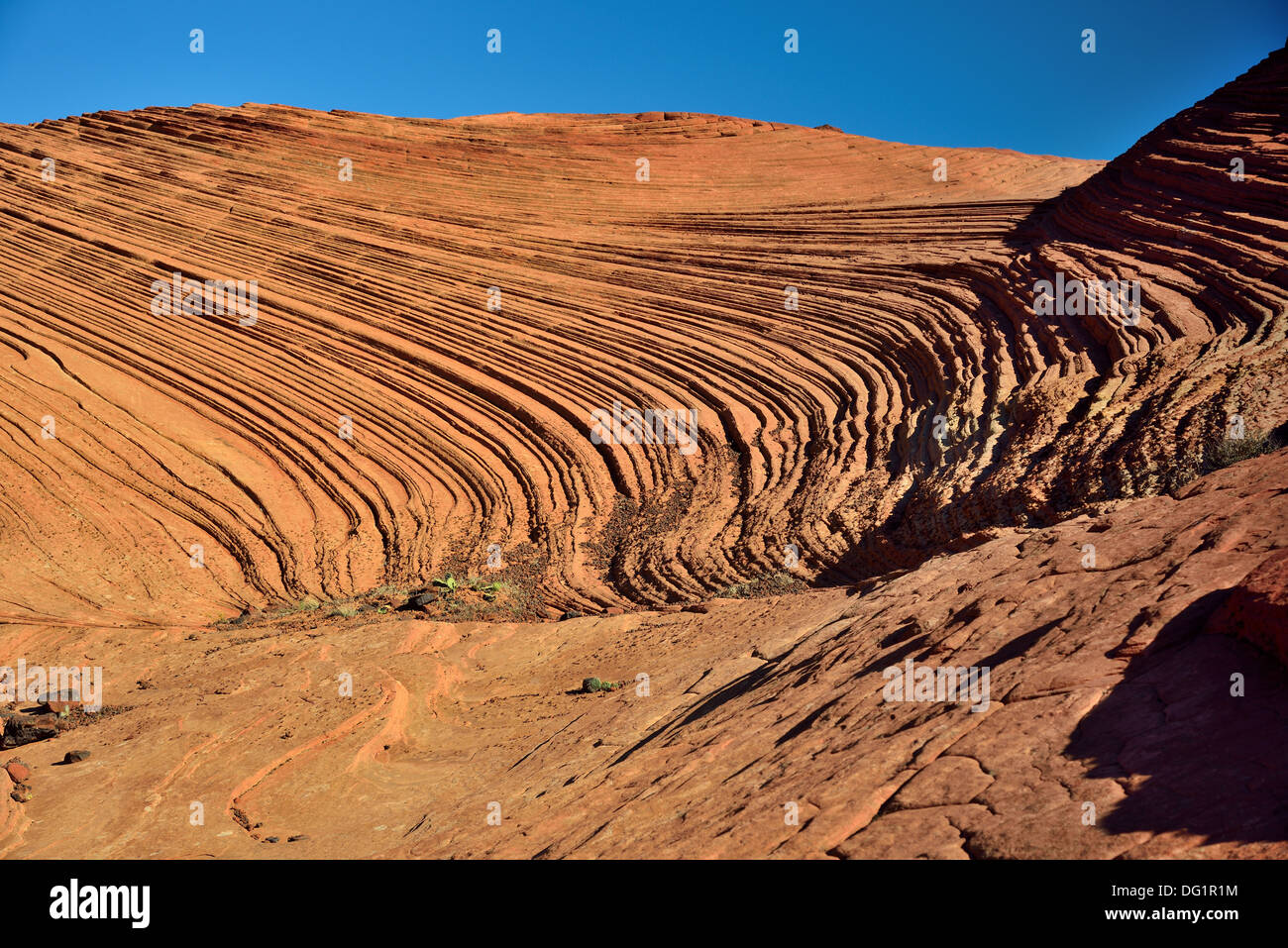 Schichten aus rotem Sandstein im südlichen Utah. USA Stockfoto