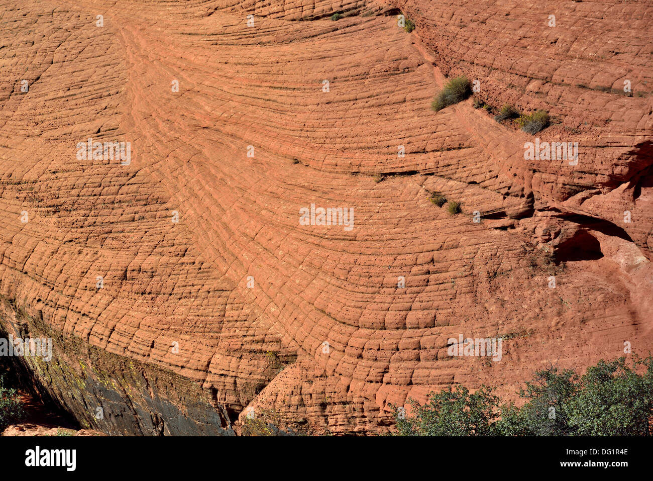 Crossbeds im Äolischen Sandstein. Southern Utah, USA. Stockfoto