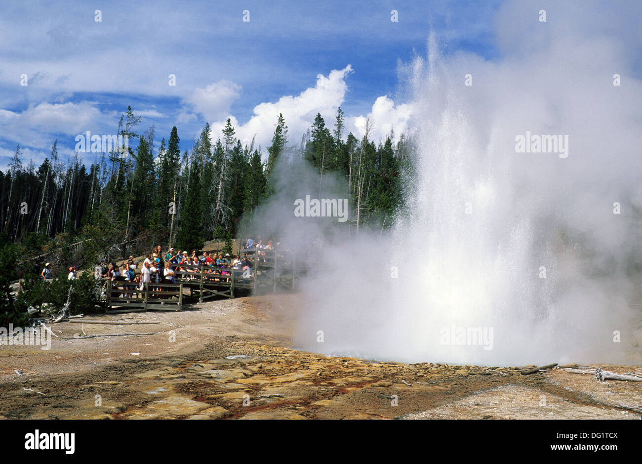 Elk265-1719 Wyoming, Yellowstone-Nationalpark, Norris Geyser Basin, Echinus Geyser Stockfoto