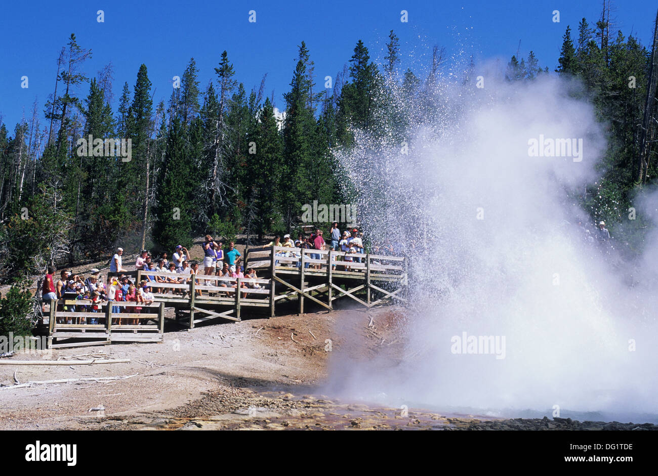 Elk265-1733 Wyoming, Yellowstone-Nationalpark, Norris Geyser Basin, Echinus Geyser Stockfoto