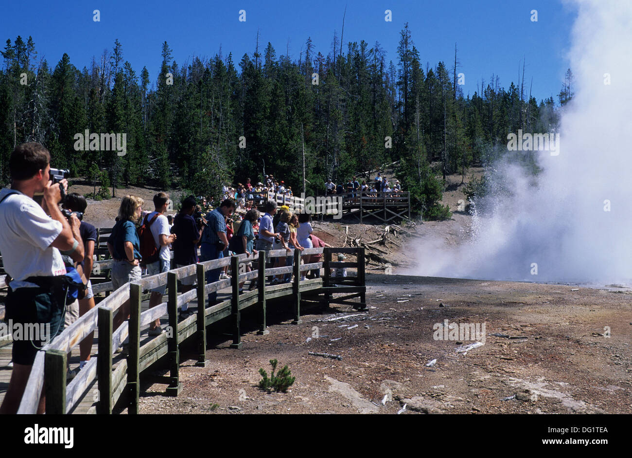 Elk265-1737 Wyoming, Yellowstone-Nationalpark, Norris Geyser Basin, Echinus Geyser Stockfoto