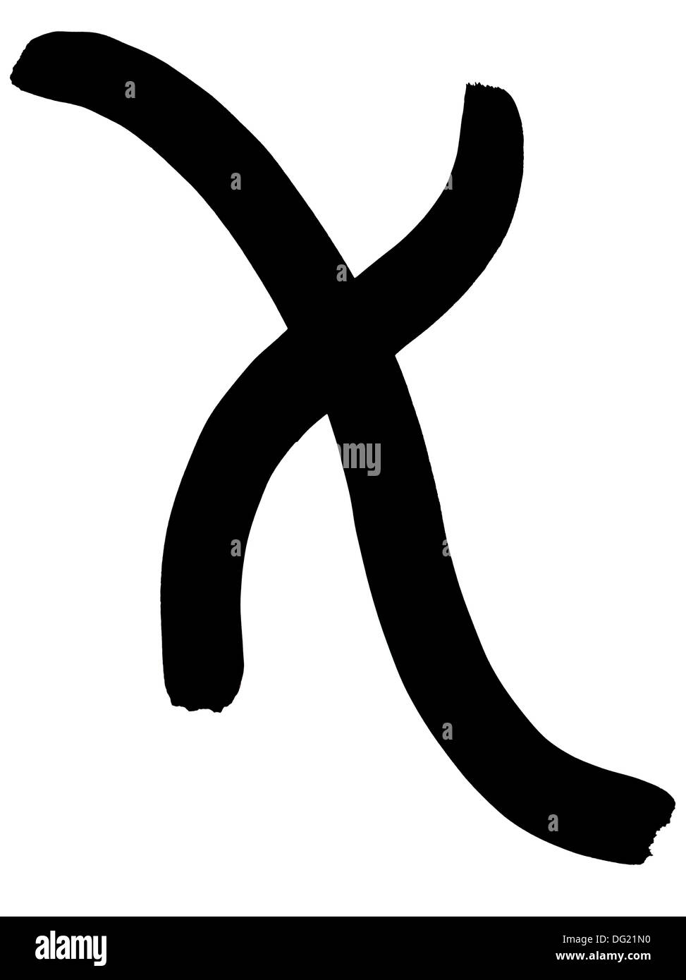 griechischen Buchstaben Chi Hand geschrieben in schwarzer Tinte auf weißem Hintergrund Stockfoto