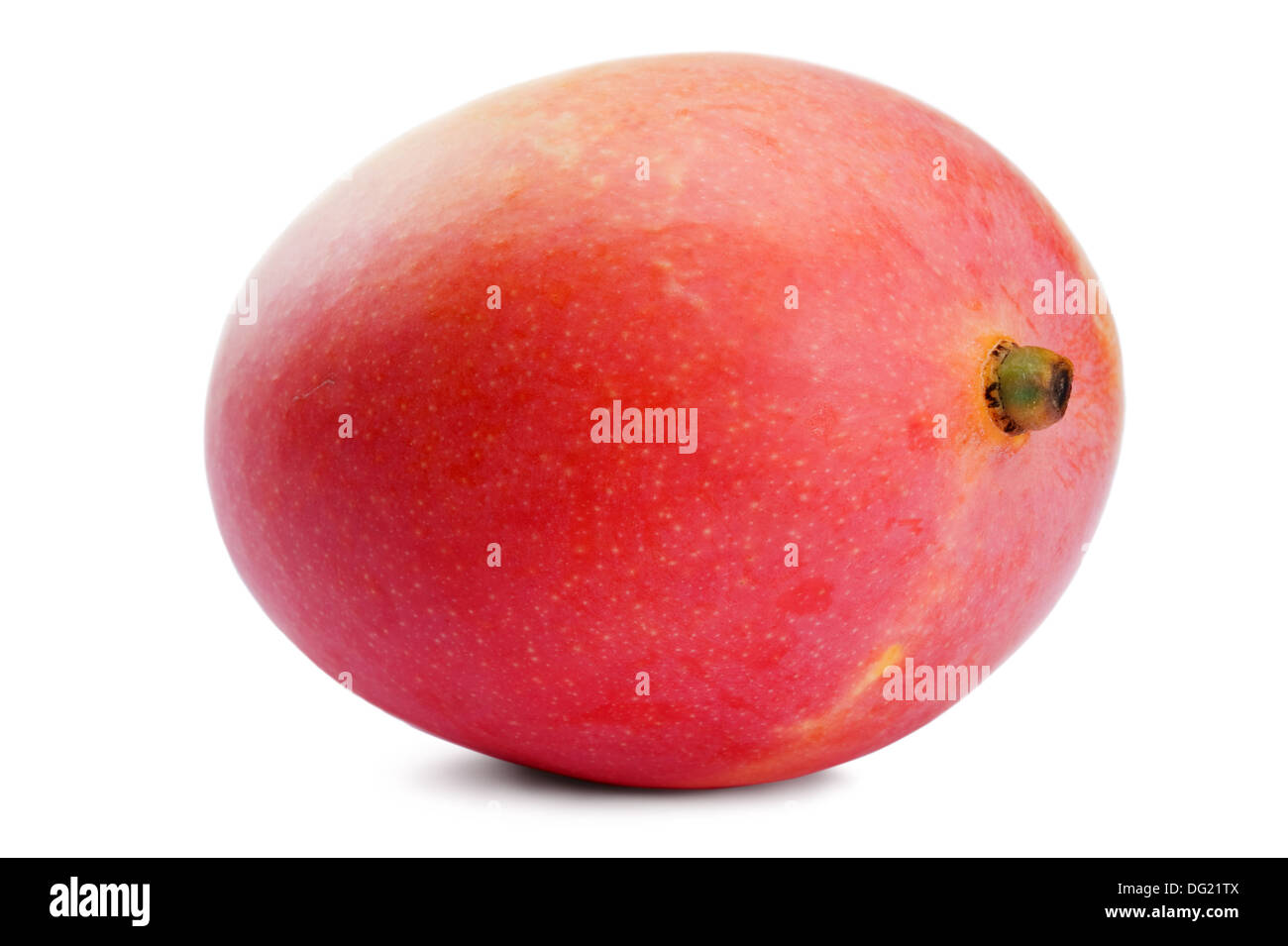 Mango-Frucht isoliert auf weißem Hintergrund Stockfoto