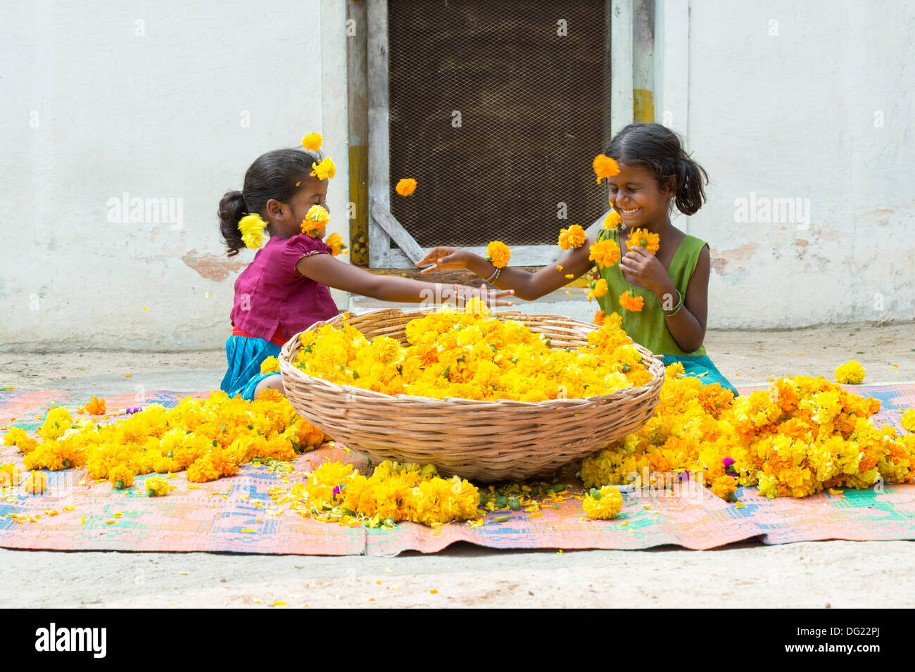 Indische Bauerndorf Mädchen werfen Ringelblumen. Andhra Pradesh, Indien Stockfoto