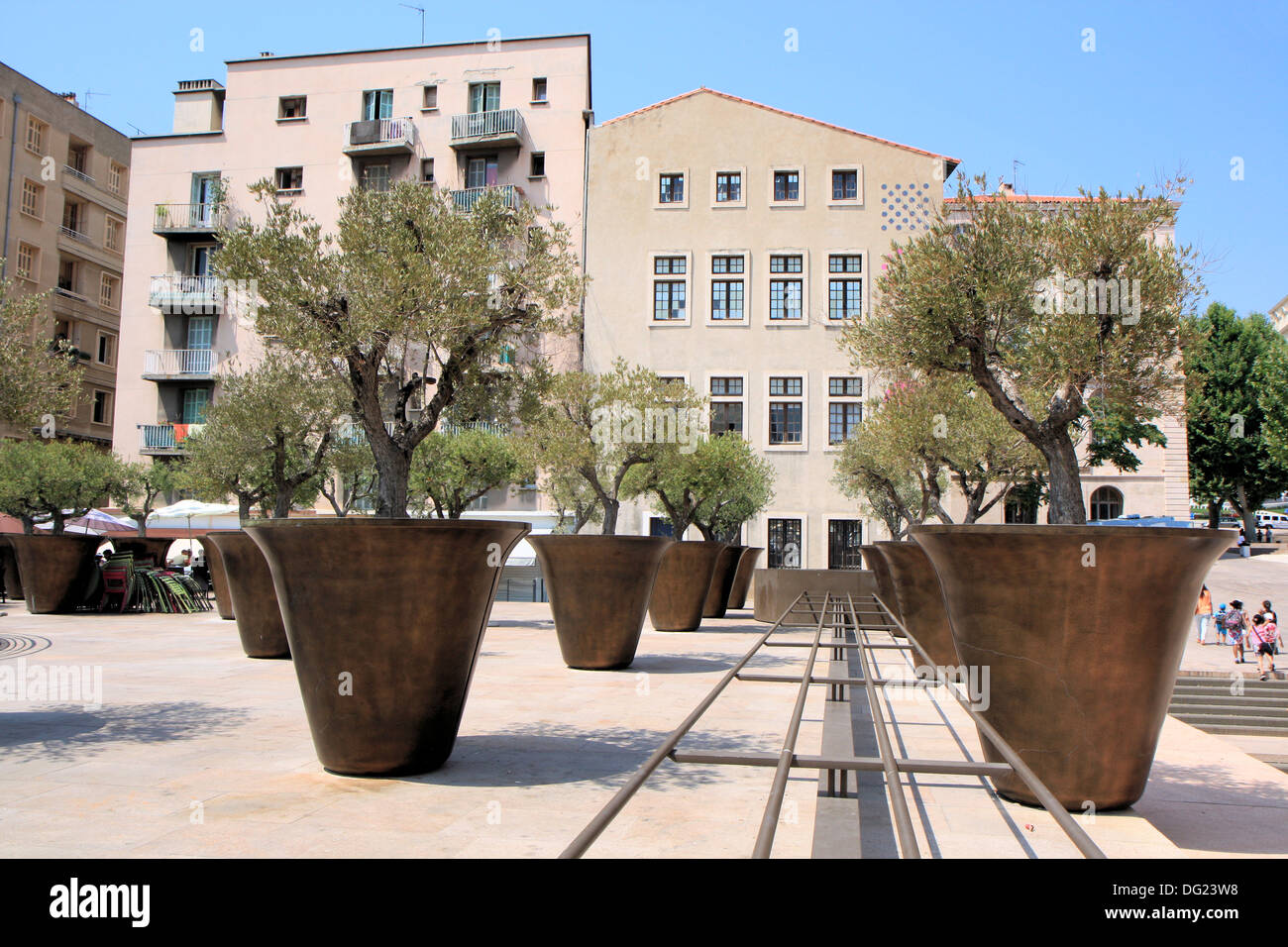 Olivenbäume in riesigen Töpfen in Panier Bereich, Marseille, Provence, Frankreich Stockfoto